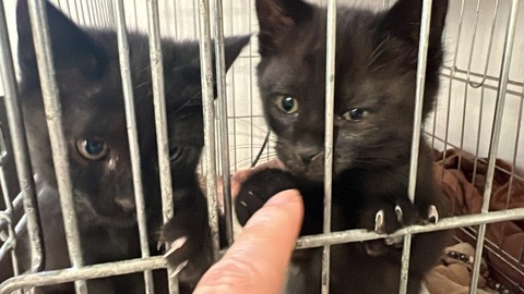 写真 2023-11-28 15 32 57