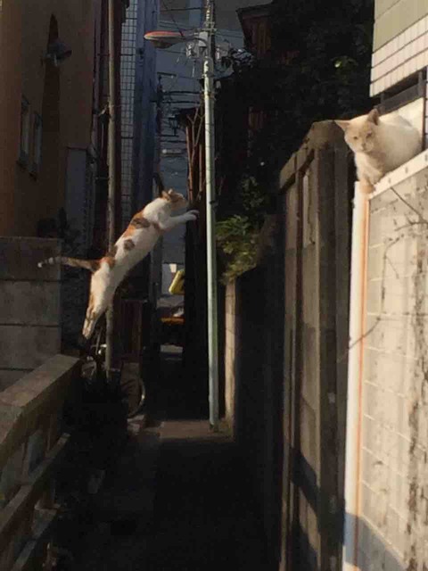 E5FD5B51-9BAD-4FC3-8C14-506DDF101F79