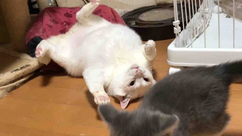 6F169ED6-4099-4303-BA6A-418A71358C89