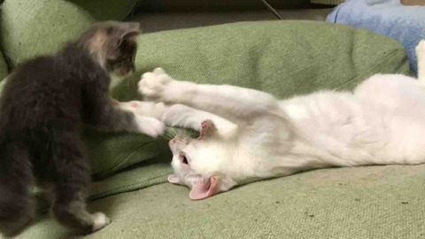 28556064-D94D-4841-B7D5-60AF0A709A4B