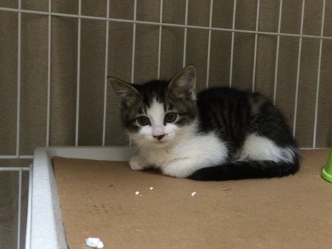 2014-06-23 22.37.59-1