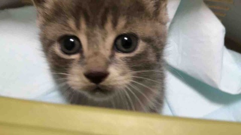 31AA6950-8620-4272-96A5-79A30D8A4285