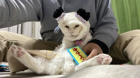 写真 2022-01-19 22 41 47