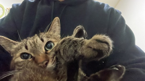 写真 2023-02-08 23 58 09