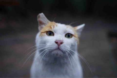 32B1ED18-8DC8-40BD-B652-88C01B2EF772