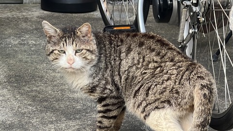 写真 2024-04-29 5 40 06