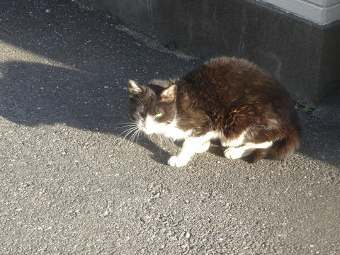 DSC07997
