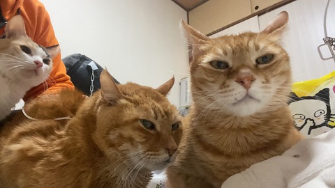 写真 2021-01-03 2 18 59