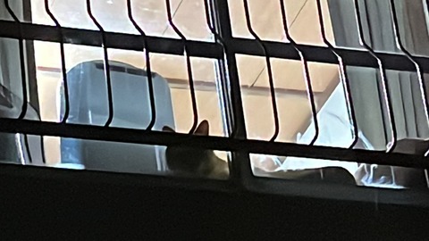 写真 2023-06-08 3 18 19