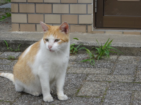 DSC00057