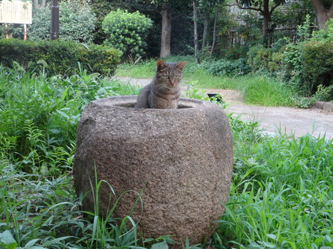 DSC00193