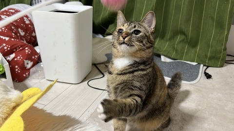 写真 2025-04-13 1 51 33