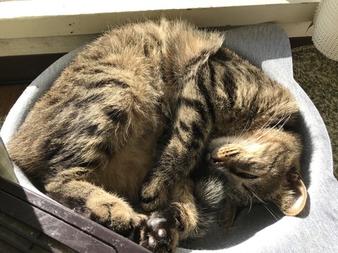 写真 2016-12-25 12 52 17