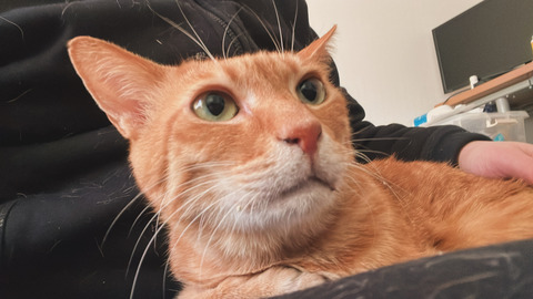 写真 2024-02-09 11 28 38