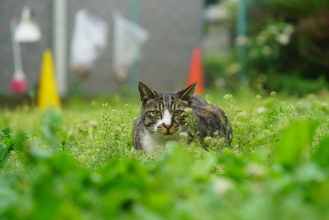 DSC02051