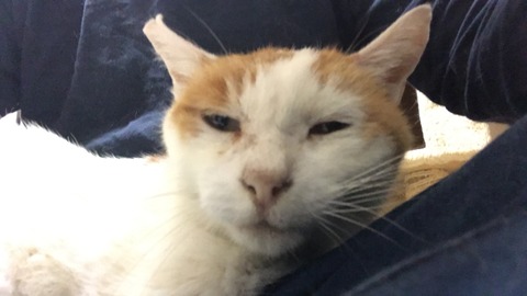 写真 2019-08-13 1 00 56