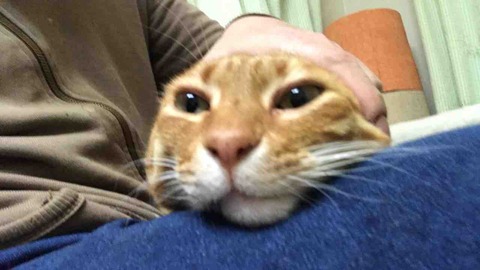 F1BCE396-1355-48F9-A70F-543A3EB14376