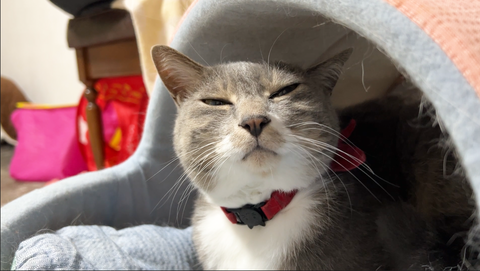 スクリーンショット 2025-09-13 21.09.25