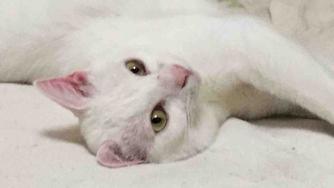 07E9C495-F16D-488D-AC8D-4DAA1EEEB15E