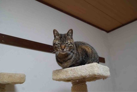 D56094DE-EBE3-44A2-AE1C-A6A50BB1249D