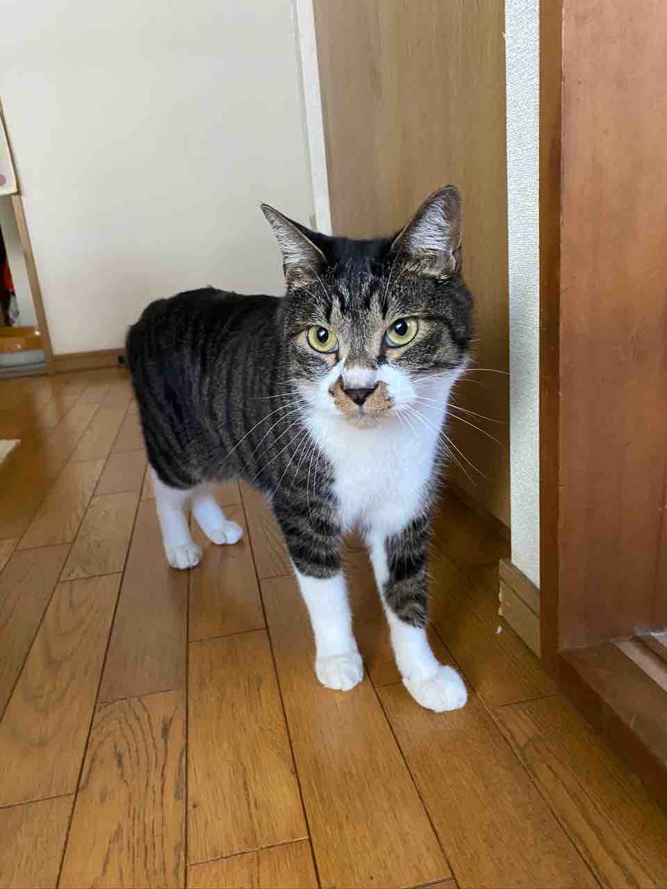 安価 ワタナベ カーチャン様へ その他 Caes Com Do