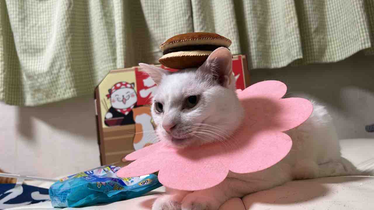 一家の主
