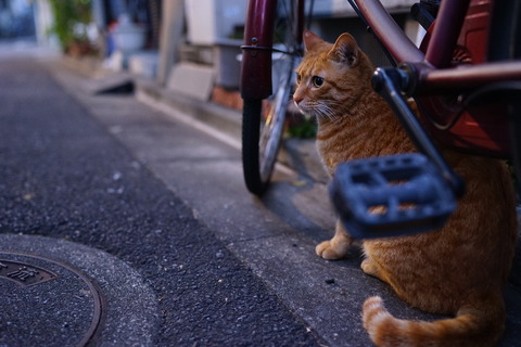 DSC05393