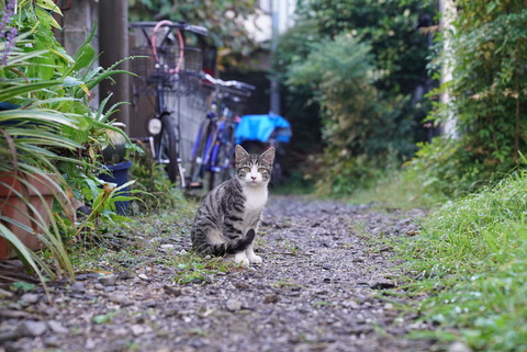 写真 2018-10-06 7 54 16