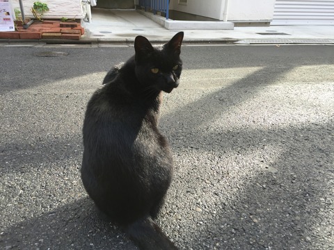 写真 2014-11-02 9 17 41