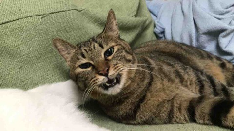 8DC1BB1E-61C0-4988-A1D0-FE97514C2DD9