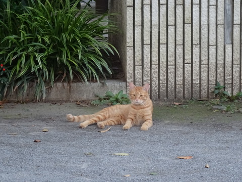 DSC00643