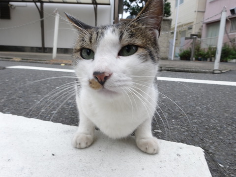 DSC00435