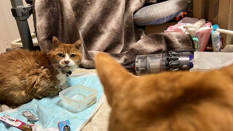 写真 2023-12-23 0 33 48