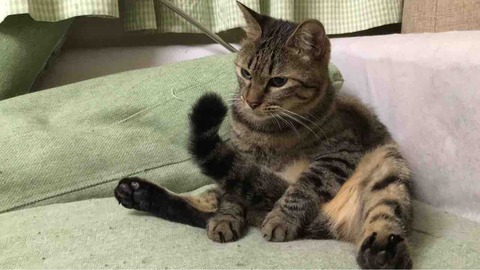 09610C90-B25C-4E0C-9935-A8F7DBCF7C4C