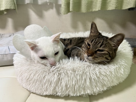 写真 2022-02-22 8 22 14