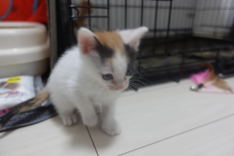 DSC00912