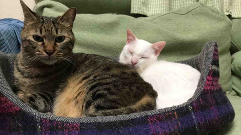 B8B5E35F-3BBA-4956-BE17-34E0FFC5F625