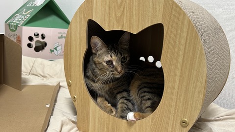 写真 2025-07-25 2 45 36