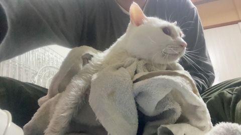 写真 2021-05-20 1 39 45