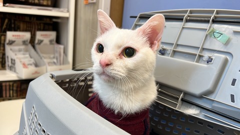 写真 2024-01-17 17 37 36