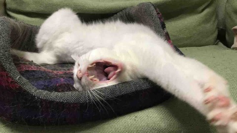 89739D0C-BE41-46B0-846E-1574AD331388