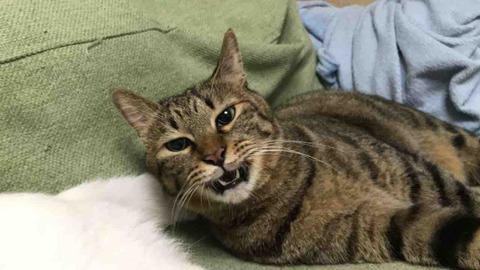 55800984-7C02-4116-ACB0-7B5647A89593