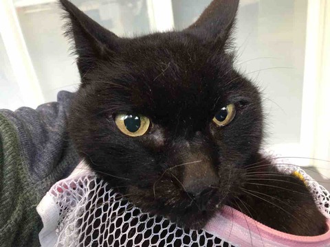 1A0D7EDB-5371-4E6E-A1F6-1AE94305945B