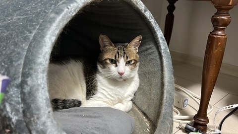 写真 2023-07-11 22 27 22