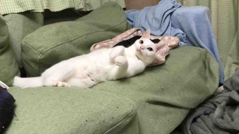 6057F6FD-0B1E-4B63-8961-F5D2C52821A6