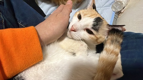 写真 2024-11-18 17 02 44