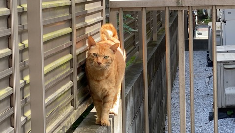 写真 2021-09-15 12 04 59