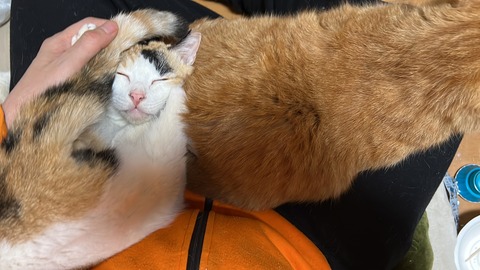 写真 2023-01-27 5 57 17