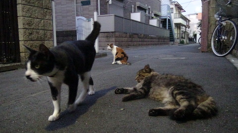 DSC01920