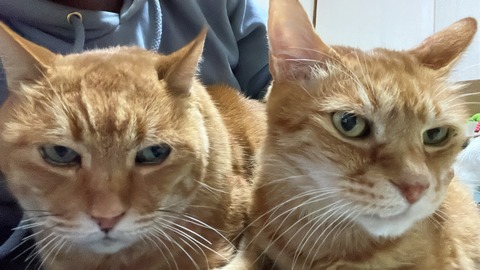 写真 2021-12-02 6 25 13